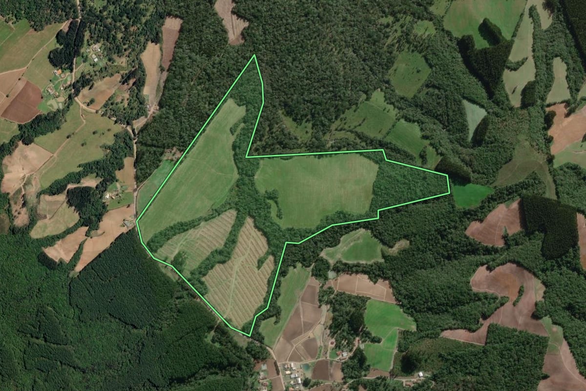 Imagem de satélite do imóvel rural em Irineópolis (SC), com o contorno declarado no CAR desenhado por cima.