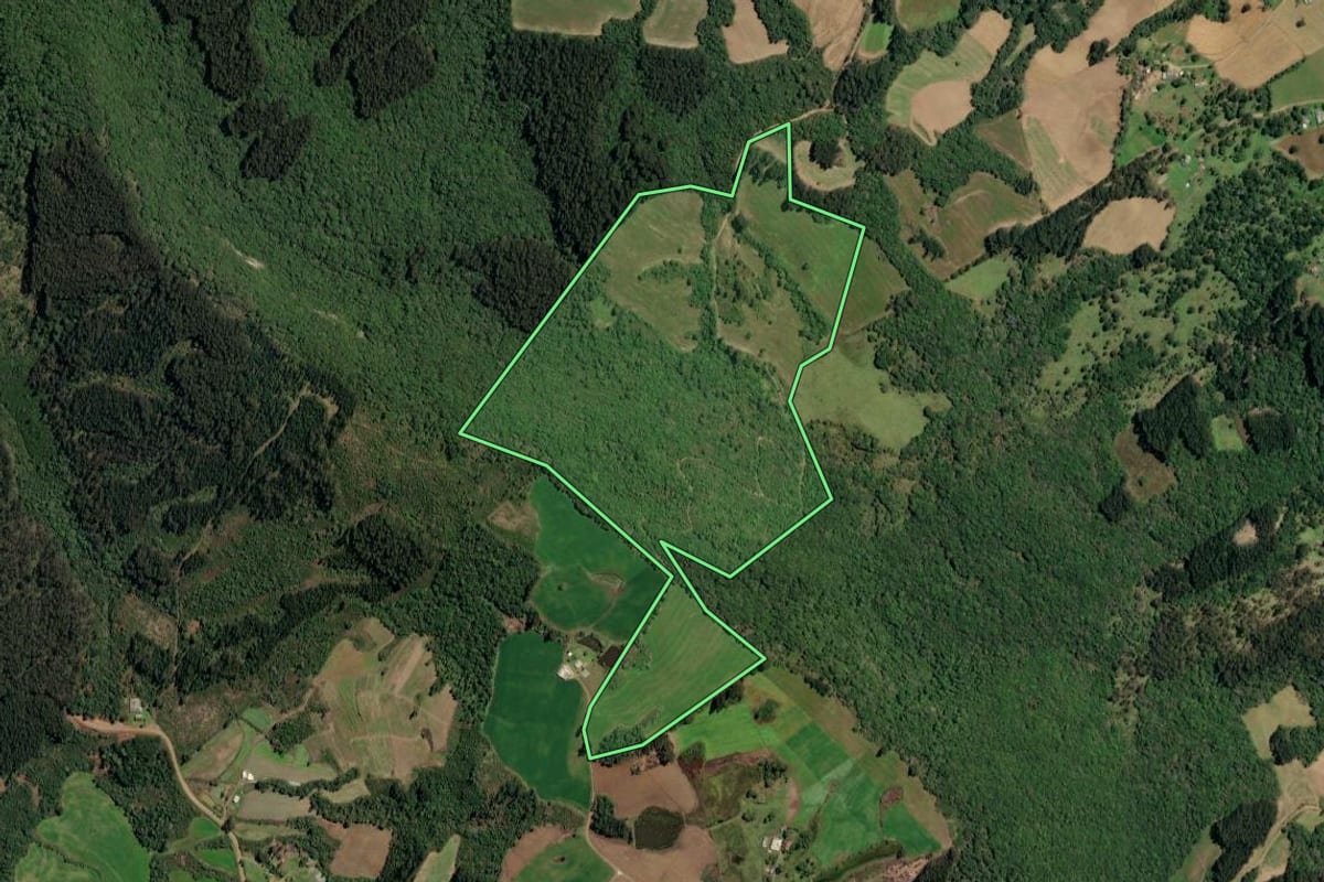 Imagem de satélite do imóvel rural em Irineópolis (SC), com o contorno declarado no CAR desenhado por cima.