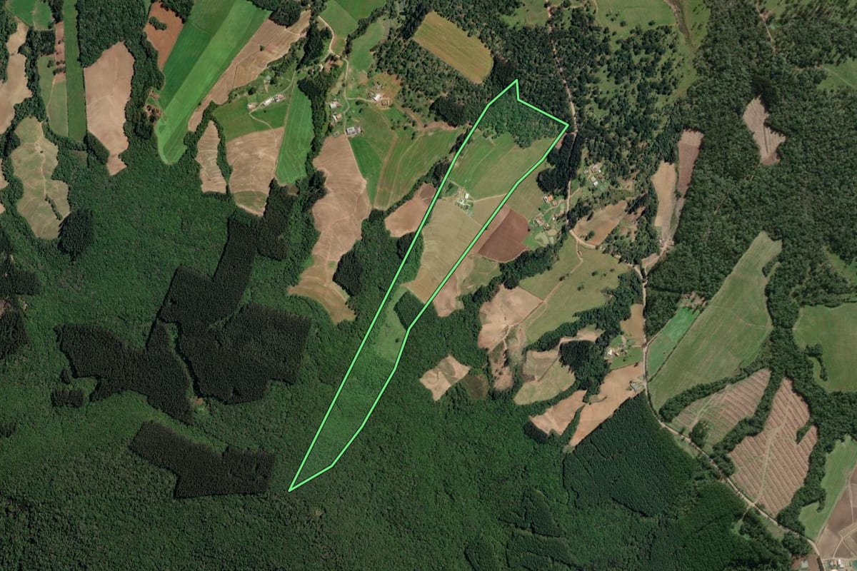 Imagem de satélite do imóvel rural em Irineópolis (SC), com o contorno declarado no CAR desenhado por cima.