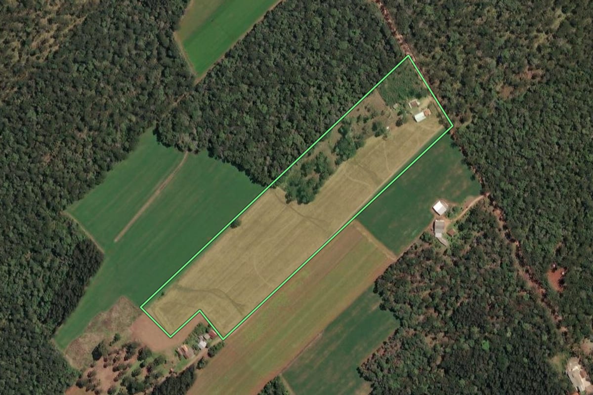Imagem de satélite do imóvel rural em Irineópolis (SC), com o contorno declarado no CAR desenhado por cima.