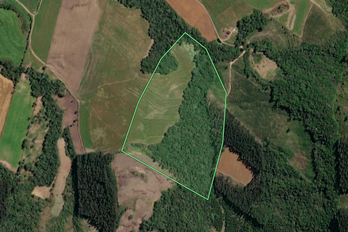 Imagem de satélite do imóvel rural em Irineópolis (SC), com o contorno declarado no CAR desenhado por cima.
