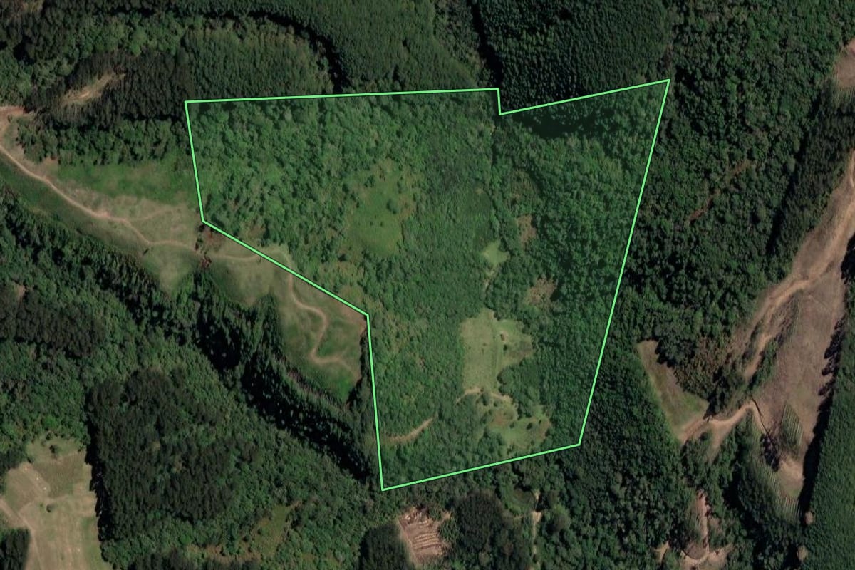 Imagem de satélite do imóvel rural em Irineópolis (SC), com o contorno declarado no CAR desenhado por cima.