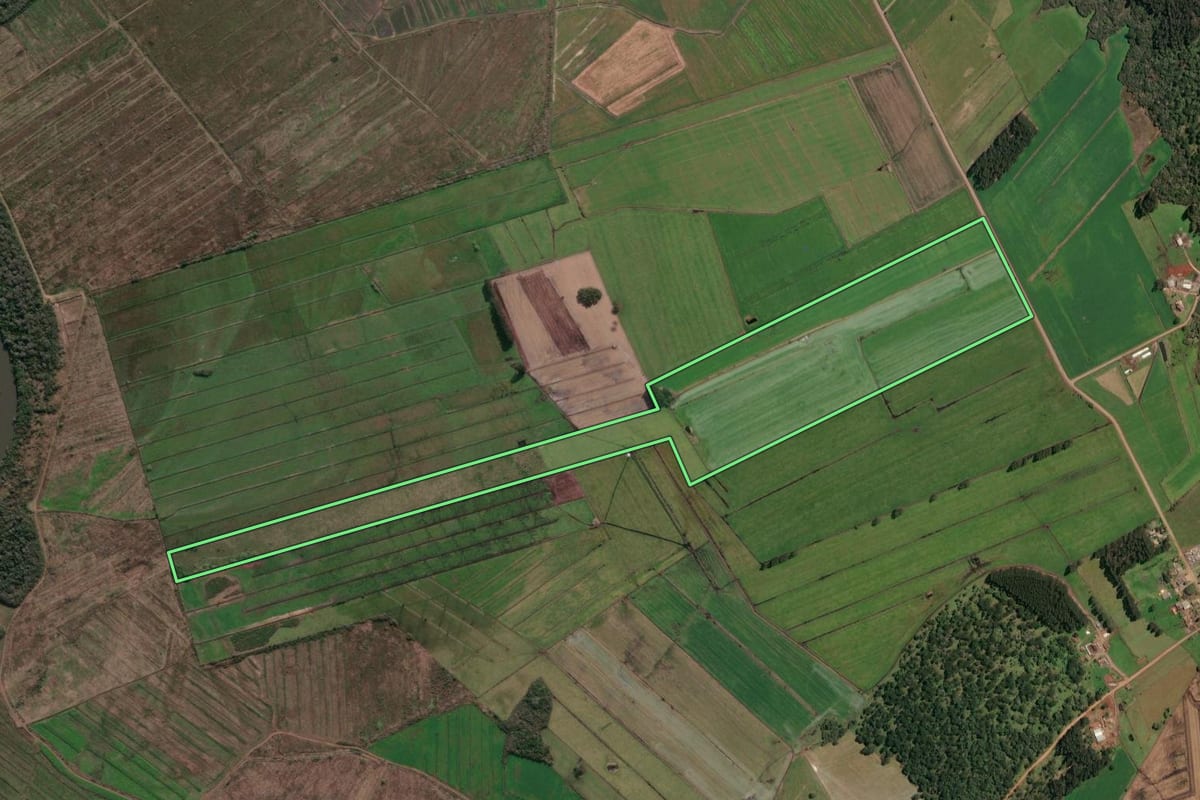 Imagem de satélite do imóvel rural em Irineópolis (SC), com o contorno declarado no CAR desenhado por cima.