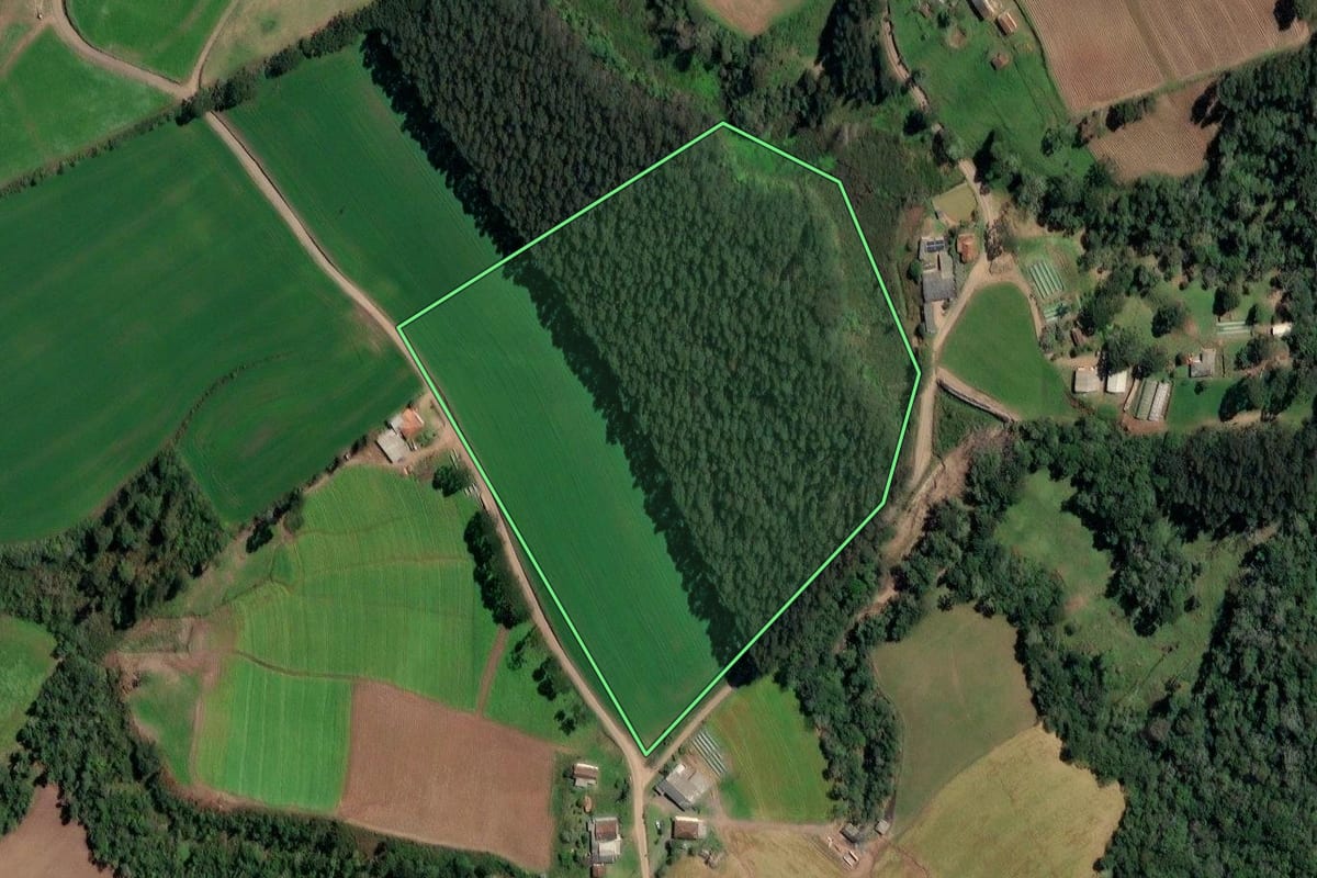 Imagem de satélite do imóvel rural em Irineópolis (SC), com o contorno declarado no CAR desenhado por cima.