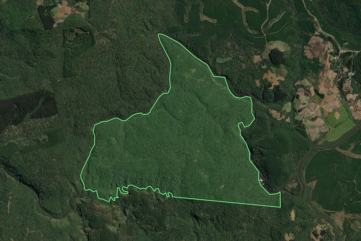 Imagem de satélite do imóvel rural em Irineópolis (SC), com o contorno declarado no CAR desenhado por cima.