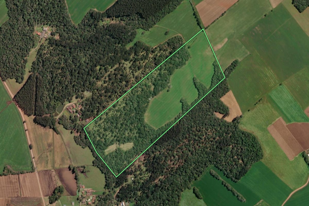Imagem de satélite do imóvel rural em Irineópolis (SC), com o contorno declarado no CAR desenhado por cima.