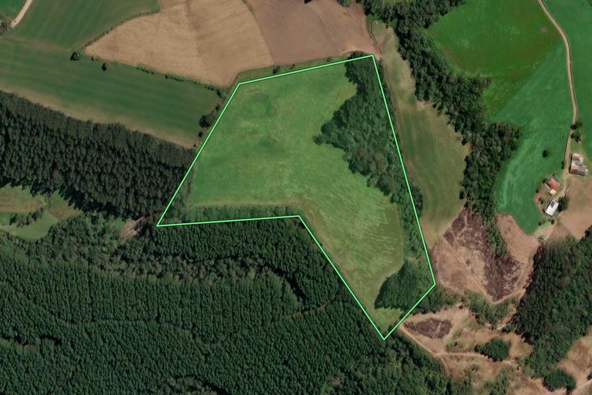 Imagem de satélite do imóvel rural em Irineópolis (SC), com o contorno declarado no CAR desenhado por cima.
