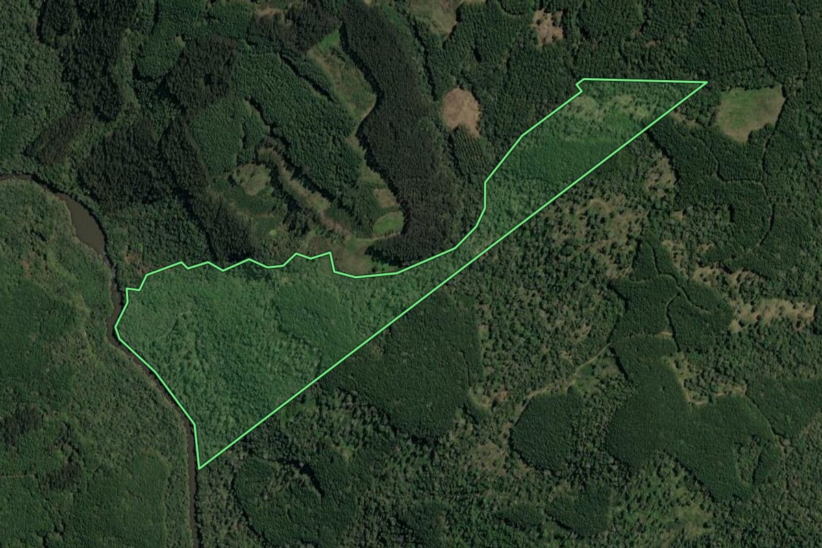 Imagem de satélite do imóvel rural em Irineópolis (SC), com o contorno declarado no CAR desenhado por cima.