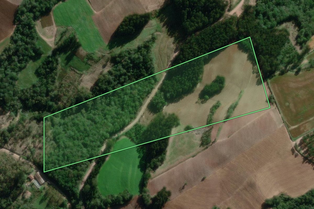 Imagem de satélite do imóvel rural em Irineópolis (SC), com o contorno declarado no CAR desenhado por cima.