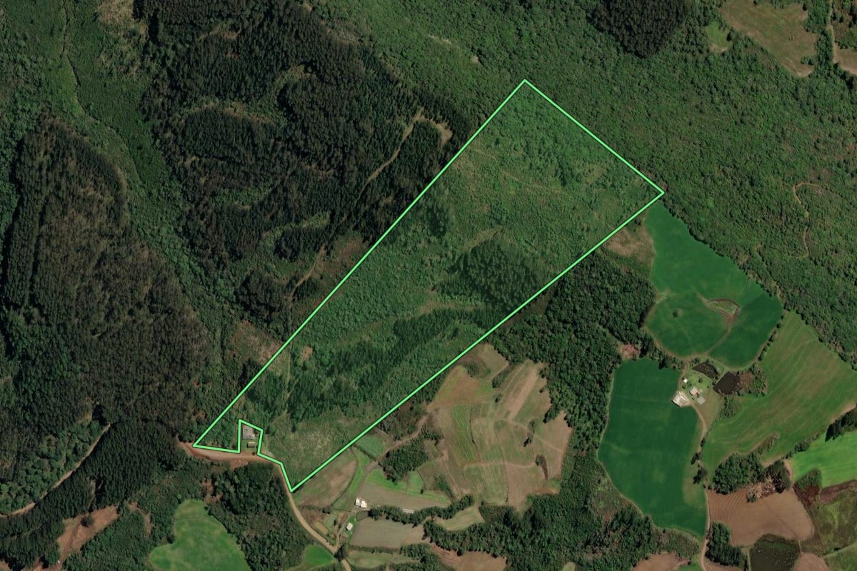 Imagem de satélite do imóvel rural em Irineópolis (SC), com o contorno declarado no CAR desenhado por cima.