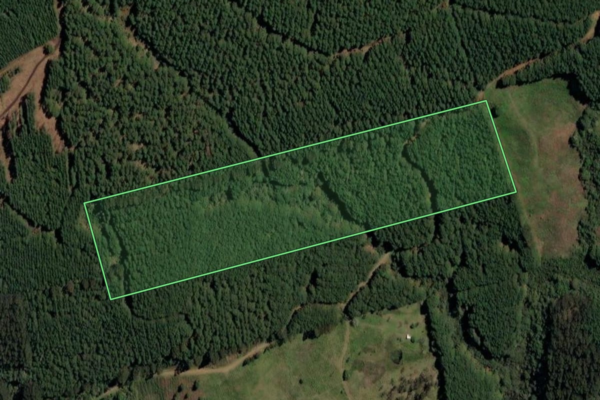Imagem de satélite do imóvel rural em Irineópolis (SC), com o contorno declarado no CAR desenhado por cima.