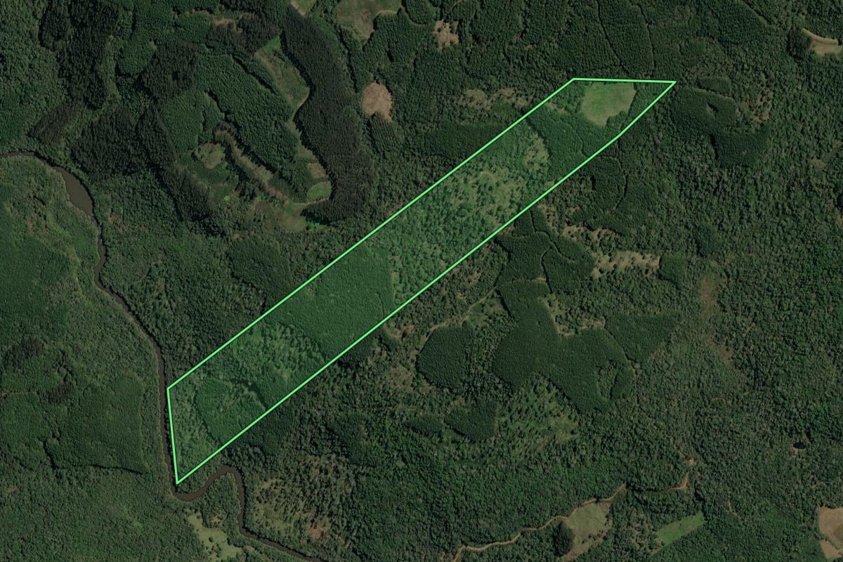 Imagem de satélite do imóvel rural em Irineópolis (SC), com o contorno declarado no CAR desenhado por cima.