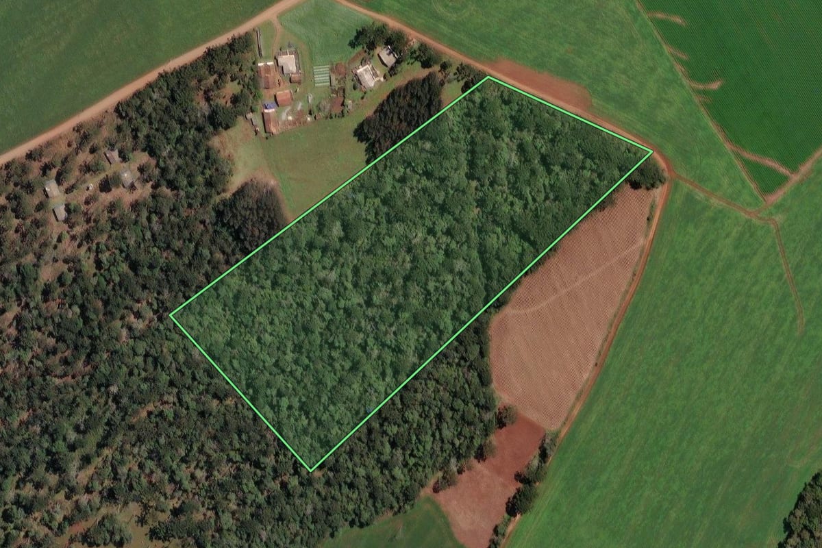 Imagem de satélite do imóvel rural em Irineópolis (SC), com o contorno declarado no CAR desenhado por cima.