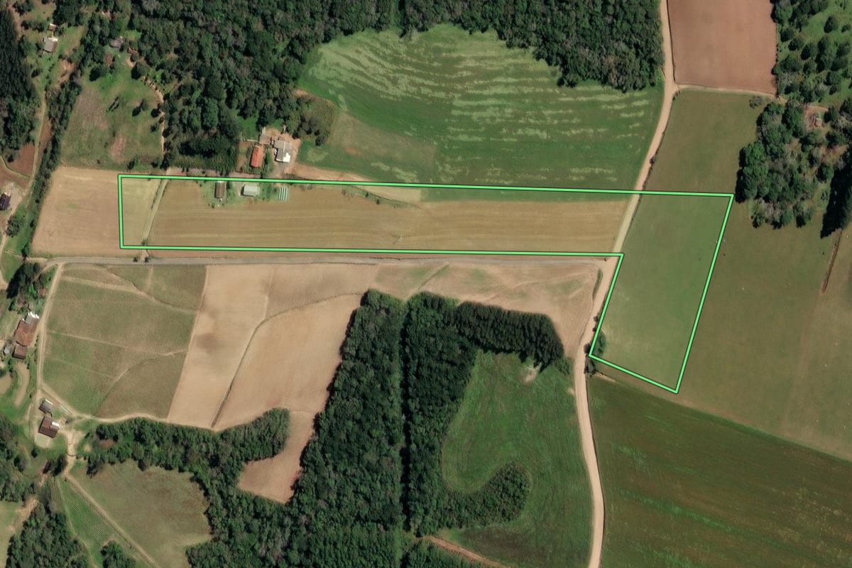 Imagem de satélite do imóvel rural em Irineópolis (SC), com o contorno declarado no CAR desenhado por cima.