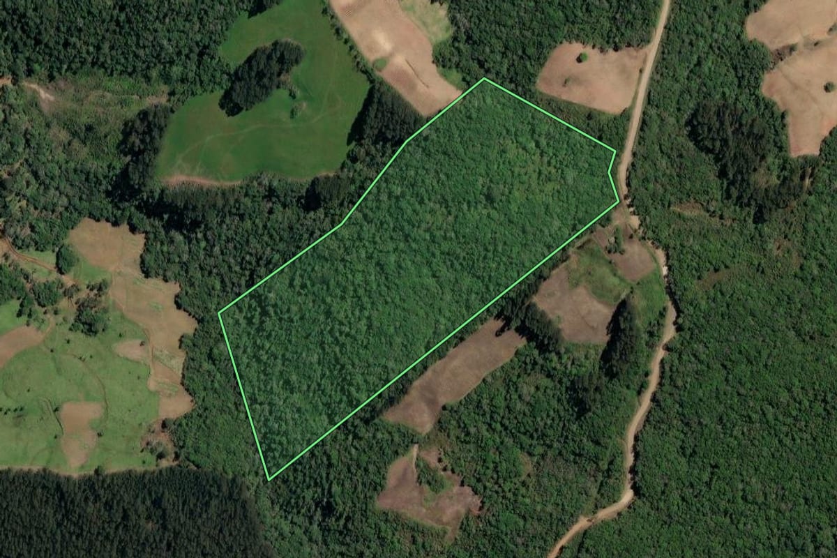 Imagem de satélite do imóvel rural em Irineópolis (SC), com o contorno declarado no CAR desenhado por cima.