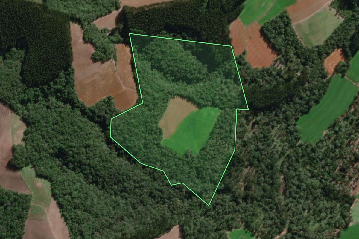 Imagem de satélite do imóvel rural em Irineópolis (SC), com o contorno declarado no CAR desenhado por cima.