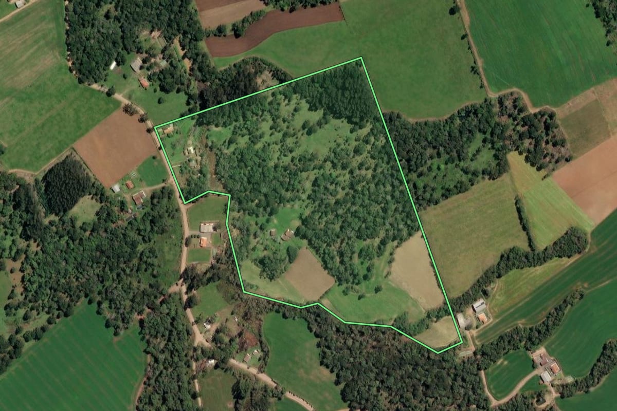Imagem de satélite do imóvel rural em Irineópolis (SC), com o contorno declarado no CAR desenhado por cima.