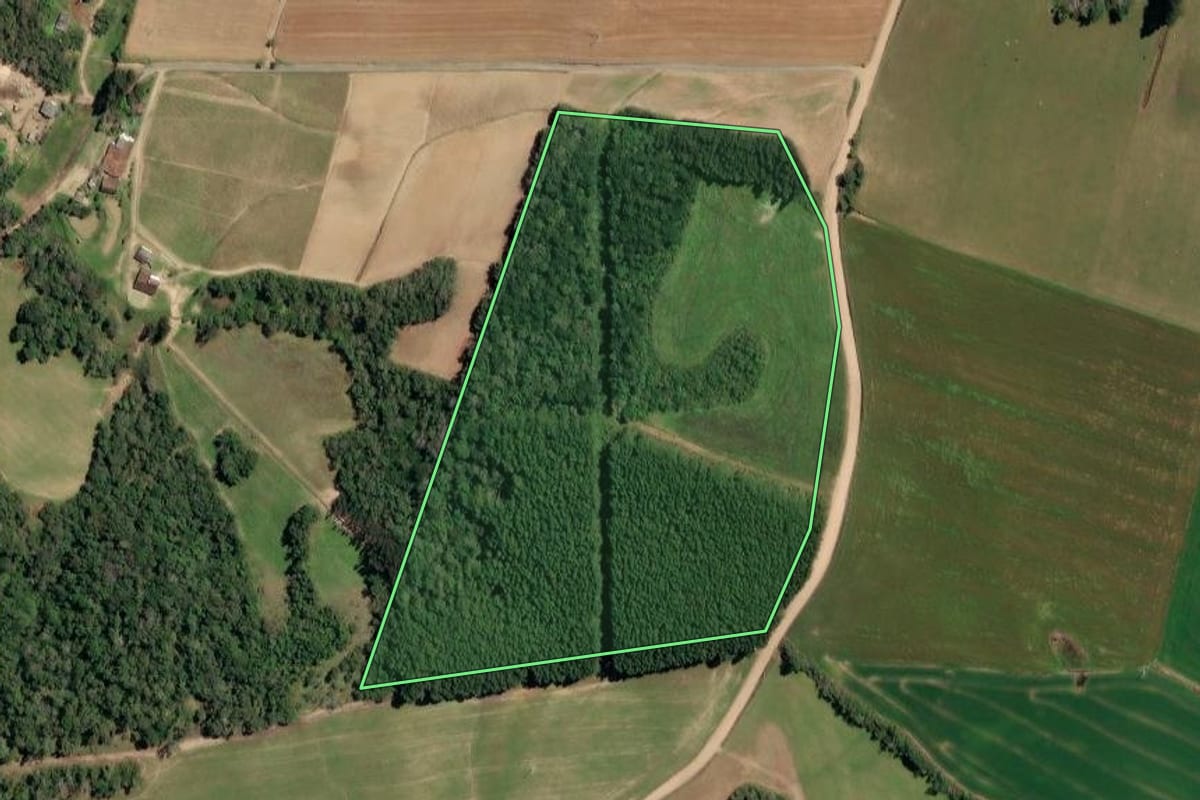 Imagem de satélite do imóvel rural em Irineópolis (SC), com o contorno declarado no CAR desenhado por cima.