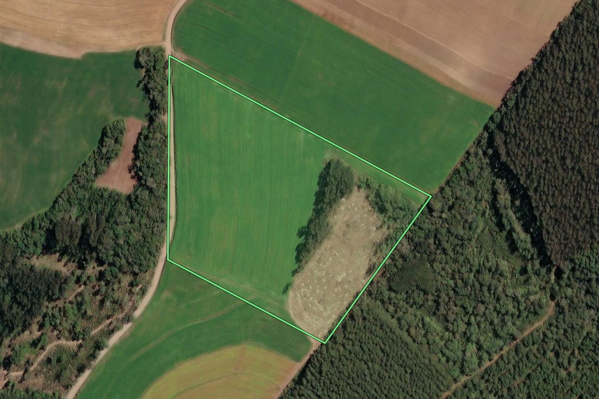 Imagem de satélite do imóvel rural em Irineópolis (SC), com o contorno declarado no CAR desenhado por cima.