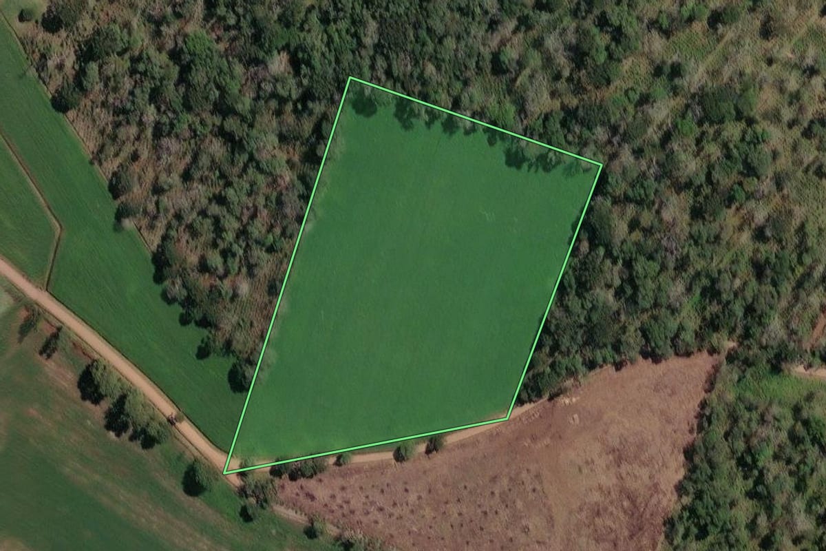 Imagem de satélite do imóvel rural em Irineópolis (SC), com o contorno declarado no CAR desenhado por cima.