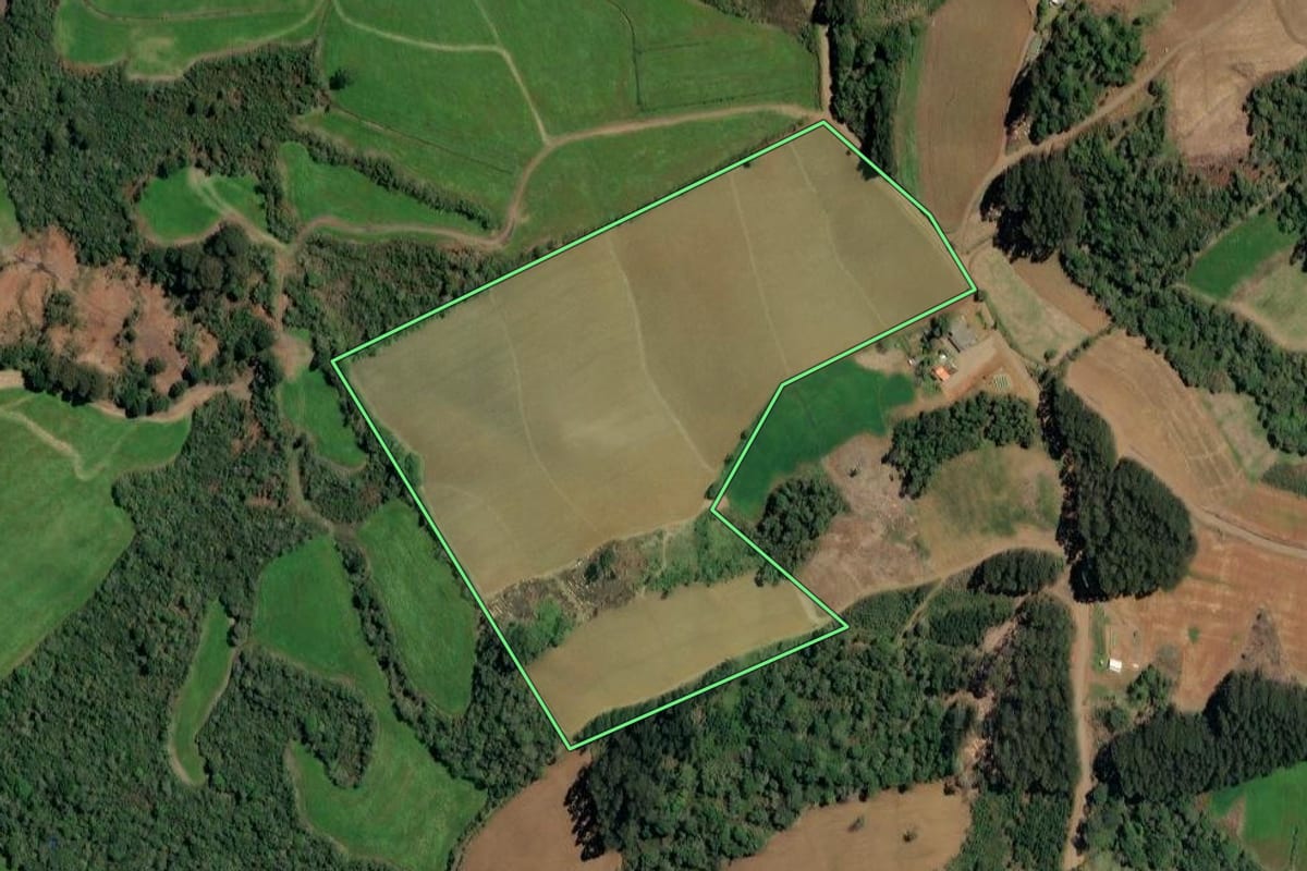 Imagem de satélite do imóvel rural em Irineópolis (SC), com o contorno declarado no CAR desenhado por cima.