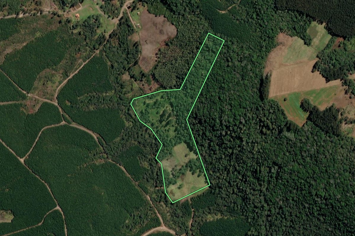 Imagem de satélite do imóvel rural em Irineópolis (SC), com o contorno declarado no CAR desenhado por cima.