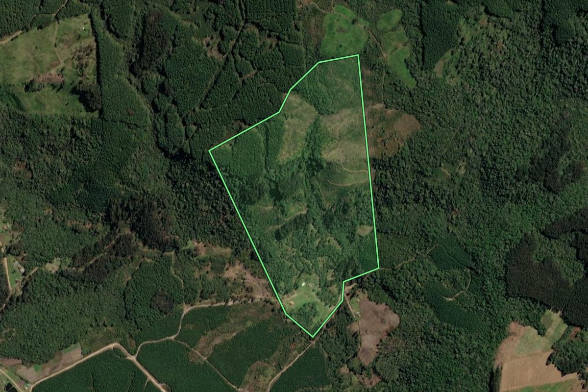 Imagem de satélite do imóvel rural em Irineópolis (SC), com o contorno declarado no CAR desenhado por cima.