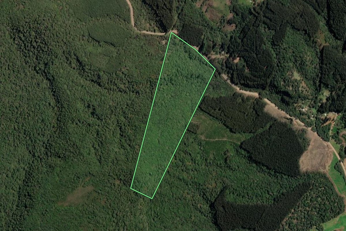 Imagem de satélite do imóvel rural em Irineópolis (SC), com o contorno declarado no CAR desenhado por cima.
