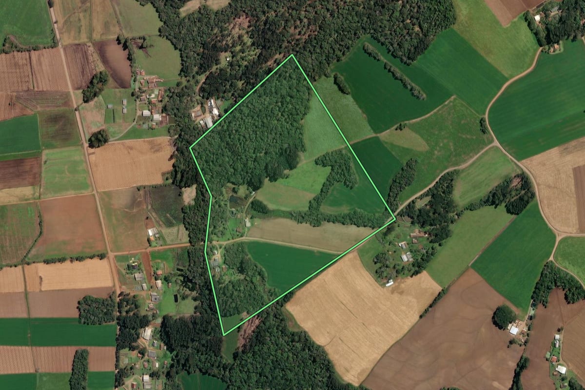 Imagem de satélite do imóvel rural em Irineópolis (SC), com o contorno declarado no CAR desenhado por cima.