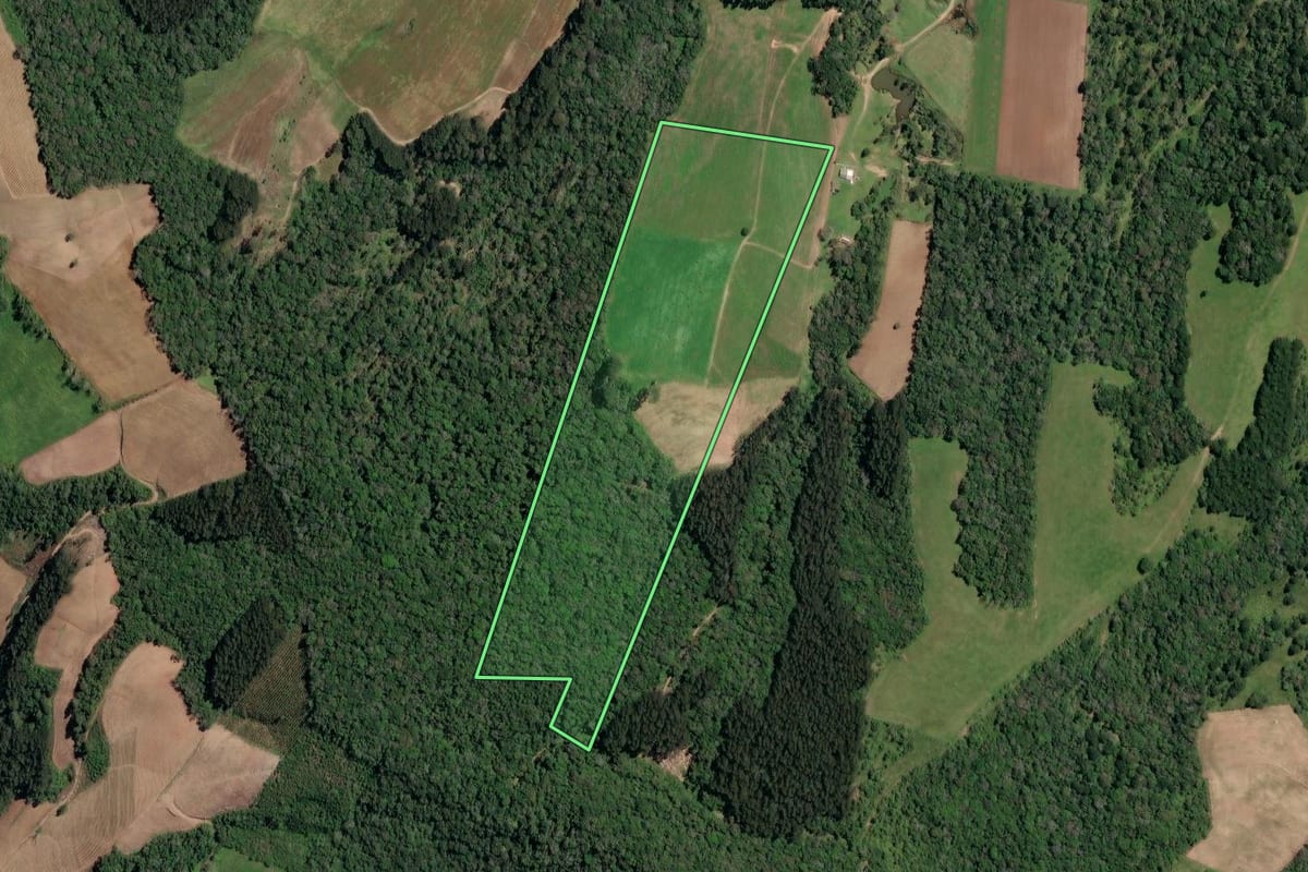 Imagem de satélite do imóvel rural em Irineópolis (SC), com o contorno declarado no CAR desenhado por cima.