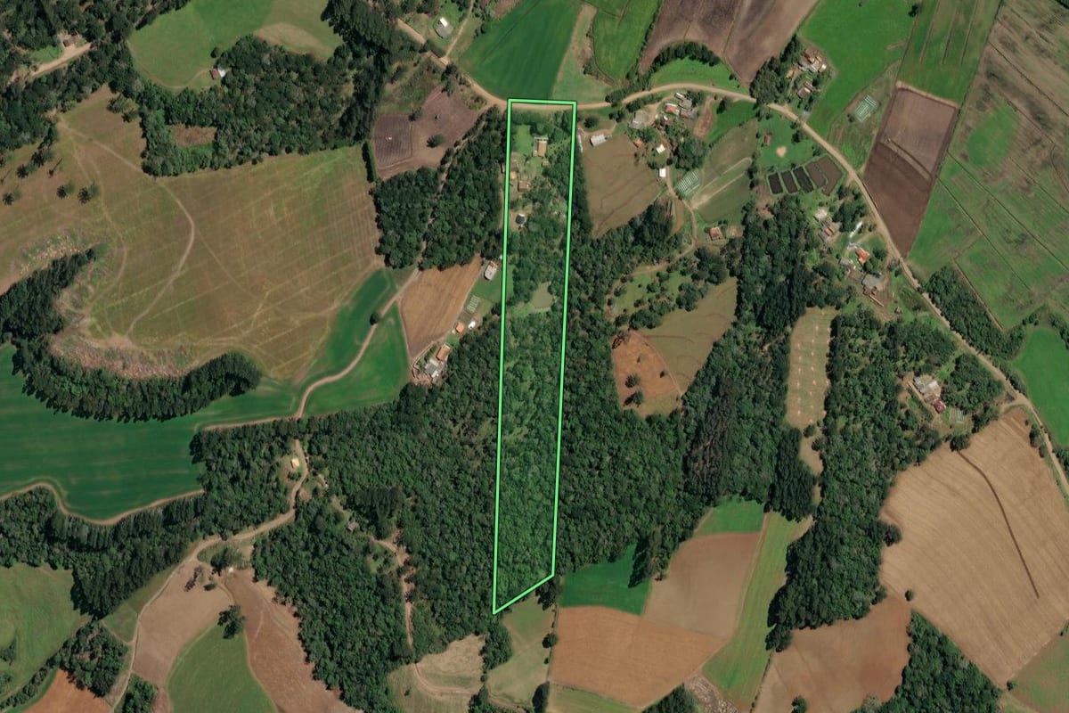 Imagem de satélite do imóvel rural em Irineópolis (SC), com o contorno declarado no CAR desenhado por cima.