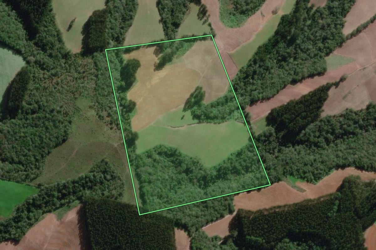Imagem de satélite do imóvel rural em Irineópolis (SC), com o contorno declarado no CAR desenhado por cima.
