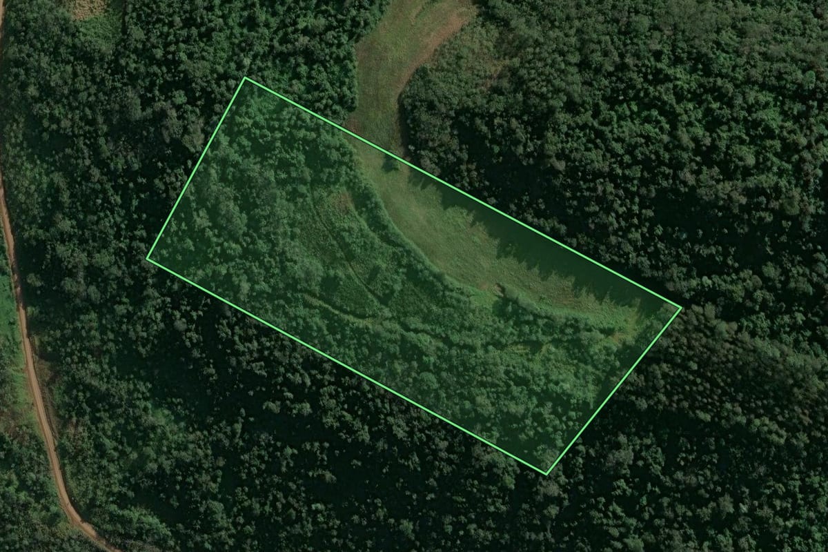 Imagem de satélite do imóvel rural em Itá (SC), com o contorno declarado no CAR desenhado por cima.