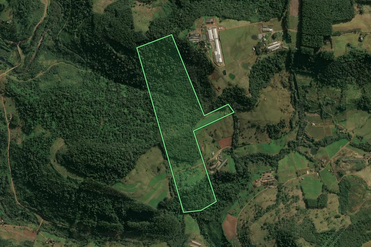 Imagem de satélite do imóvel rural em Itá (SC), com o contorno declarado no CAR desenhado por cima.