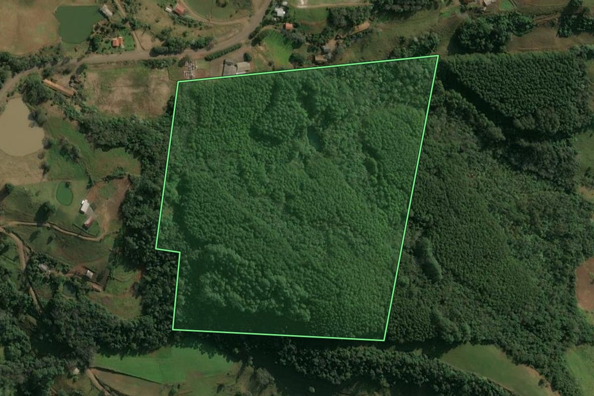 Imagem de satélite do imóvel rural em Itá (SC), com o contorno declarado no CAR desenhado por cima.