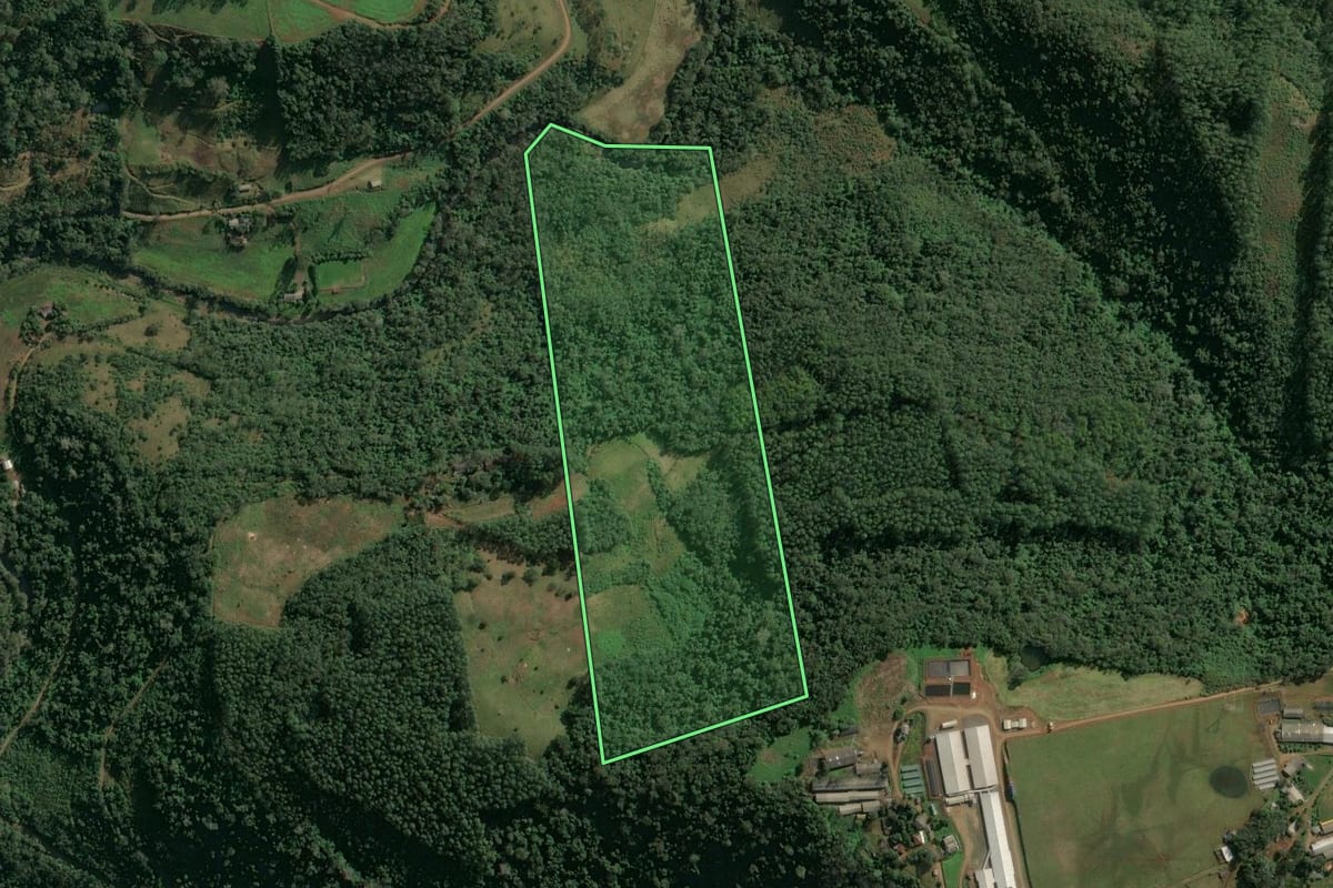 Imagem de satélite do imóvel rural em Itá (SC), com o contorno declarado no CAR desenhado por cima.