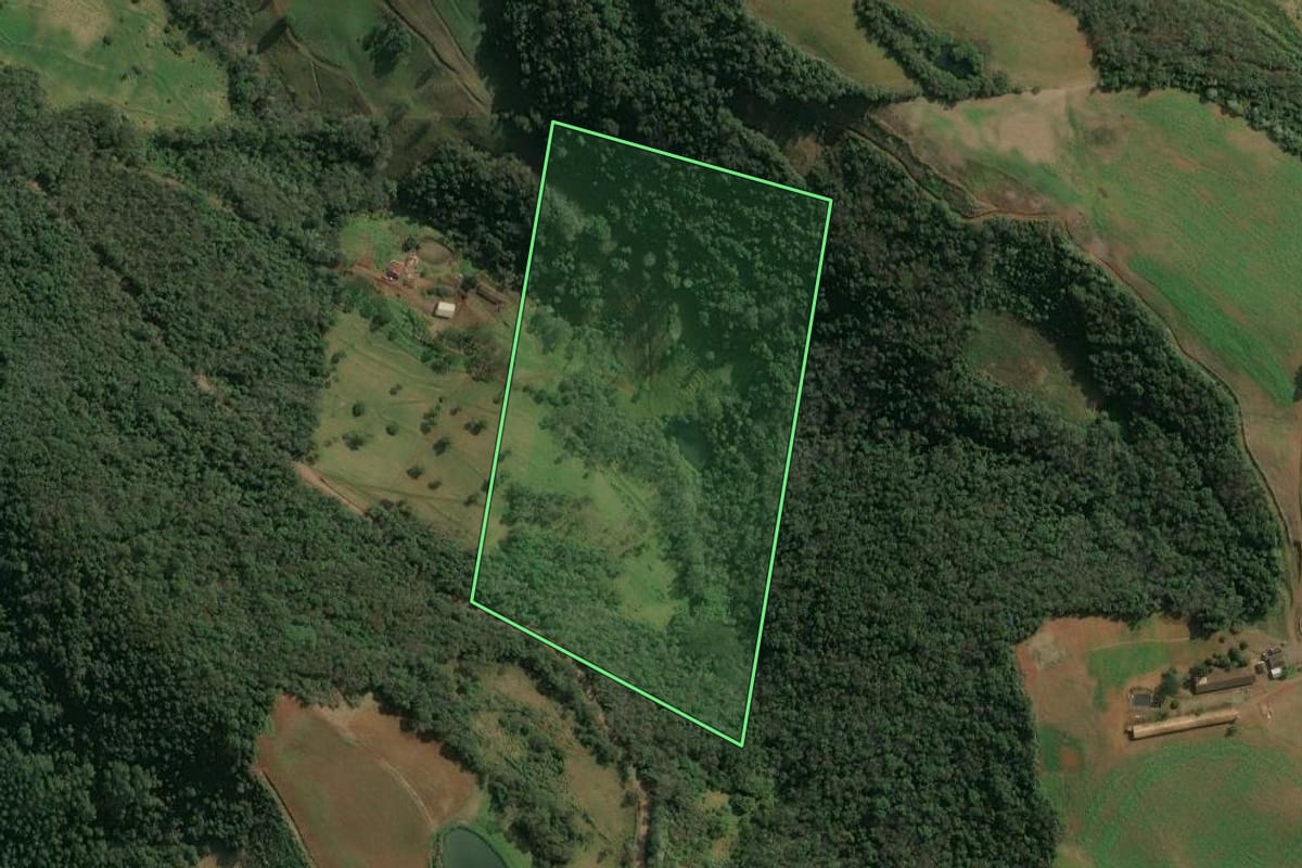 Imagem de satélite do imóvel rural em Itá (SC), com o contorno declarado no CAR desenhado por cima.