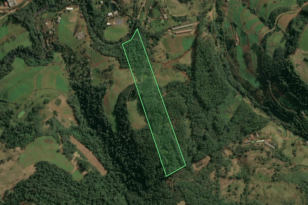 Imagem de satélite do imóvel rural em Itá (SC), com o contorno declarado no CAR desenhado por cima.
