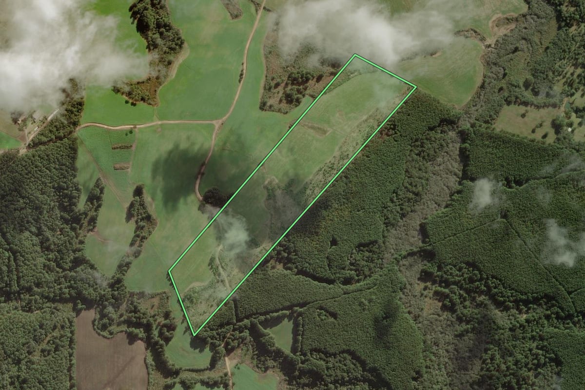 Imagem de satélite do imóvel rural em Itaiópolis (SC), com o contorno declarado no CAR desenhado por cima.