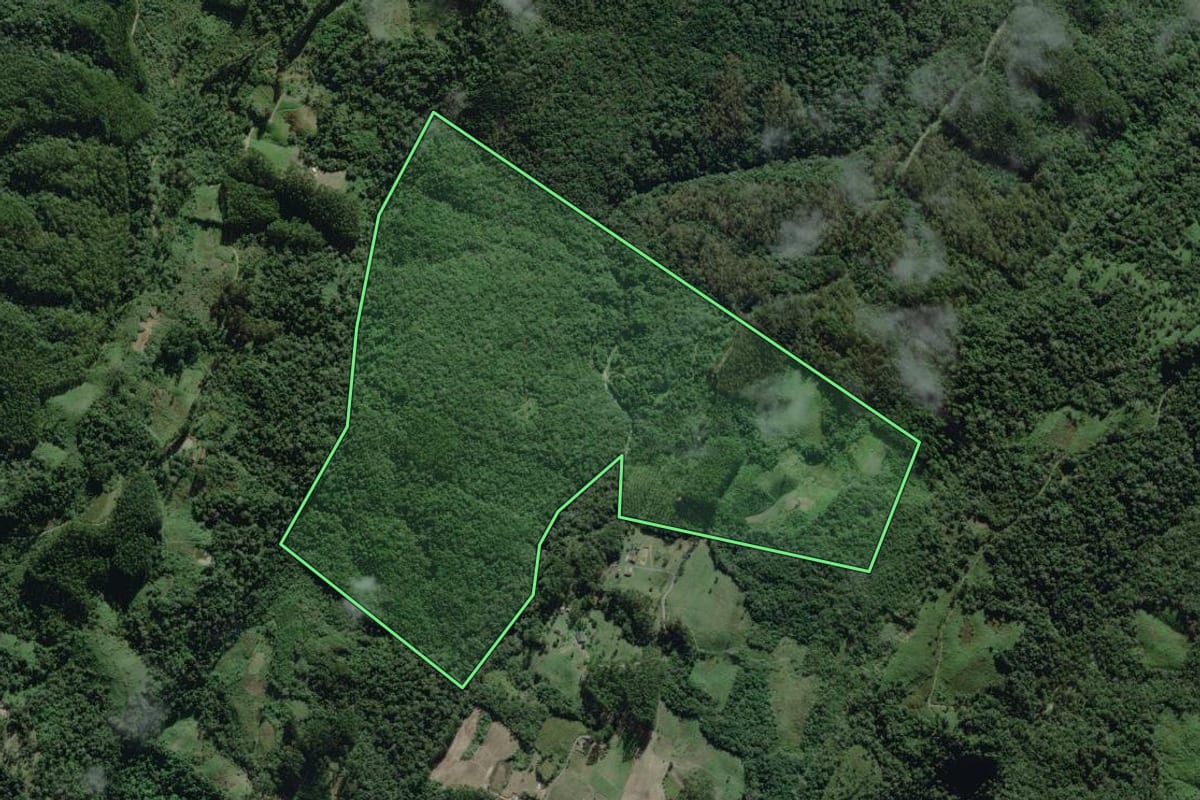 Imagem de satélite do imóvel rural em Itaiópolis (SC), com o contorno declarado no CAR desenhado por cima.