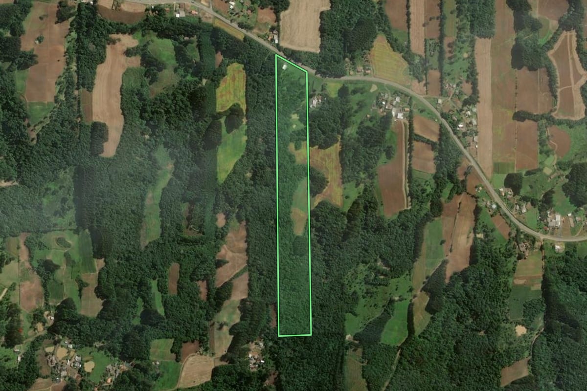 Imagem de satélite do imóvel rural em Itaiópolis (SC), com o contorno declarado no CAR desenhado por cima.