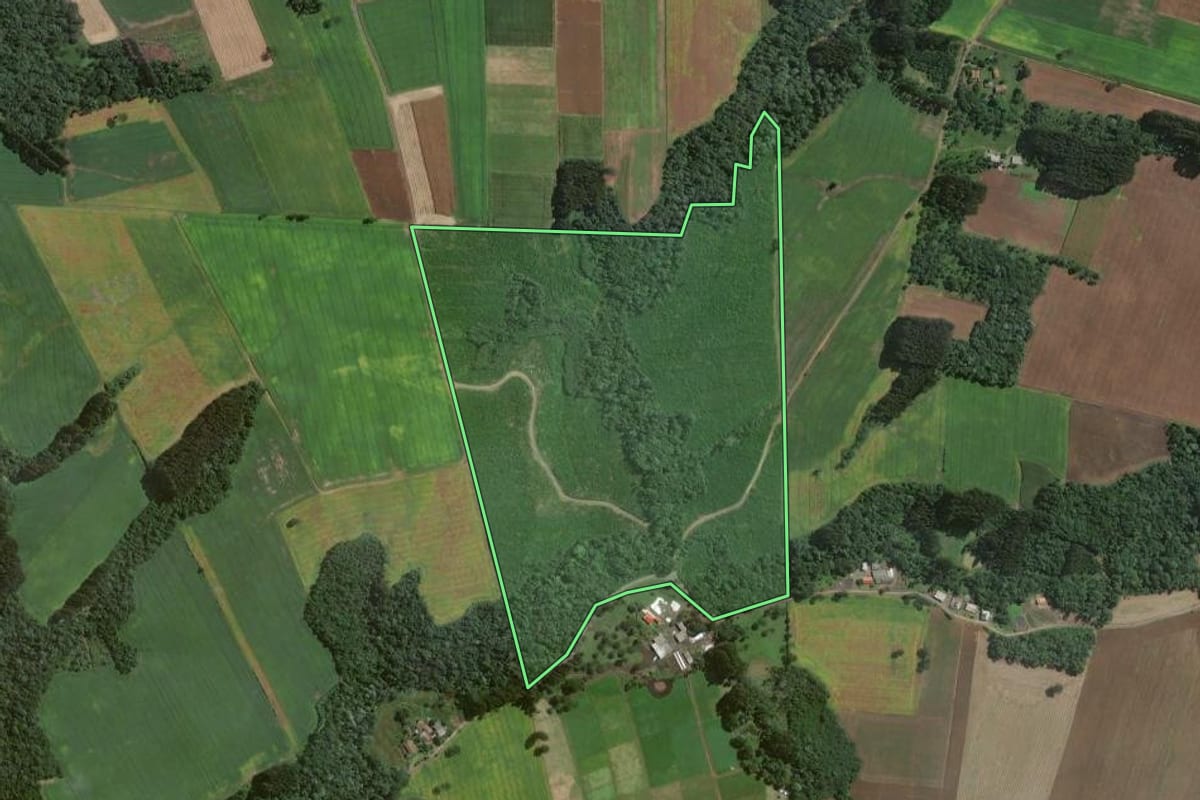 Imagem de satélite do imóvel rural em Itaiópolis (SC), com o contorno declarado no CAR desenhado por cima.