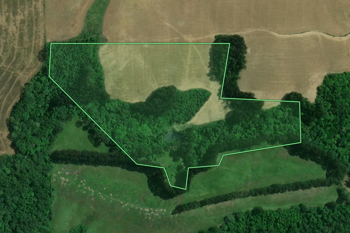 Imagem de satélite do imóvel rural em Itaiópolis (SC), com o contorno declarado no CAR desenhado por cima.