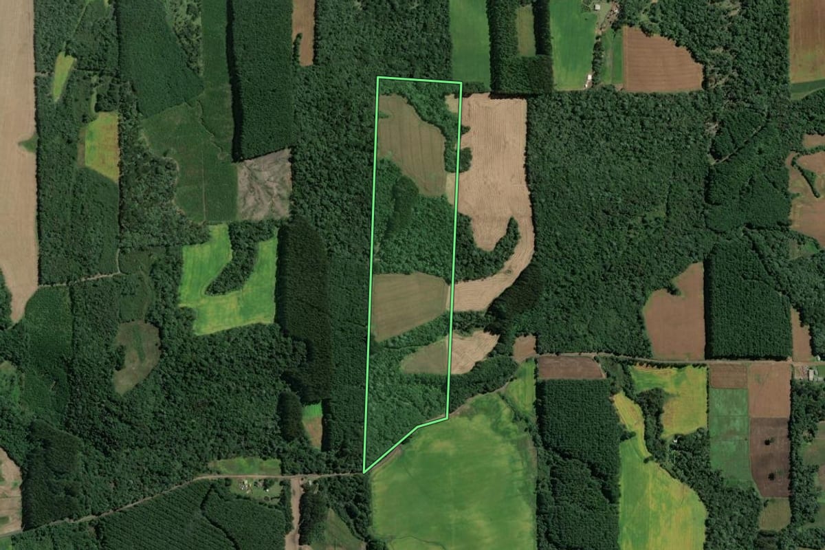 Imagem de satélite do imóvel rural em Itaiópolis (SC), com o contorno declarado no CAR desenhado por cima.