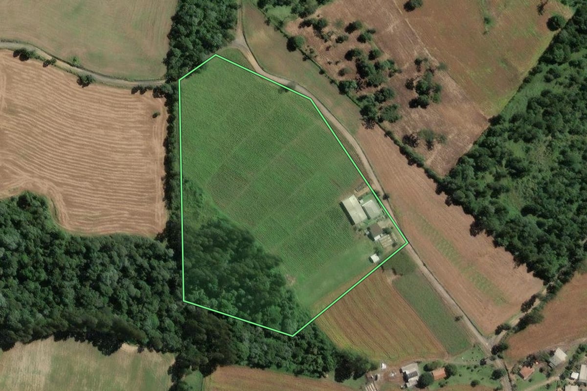 Imagem de satélite do imóvel rural em Itaiópolis (SC), com o contorno declarado no CAR desenhado por cima.