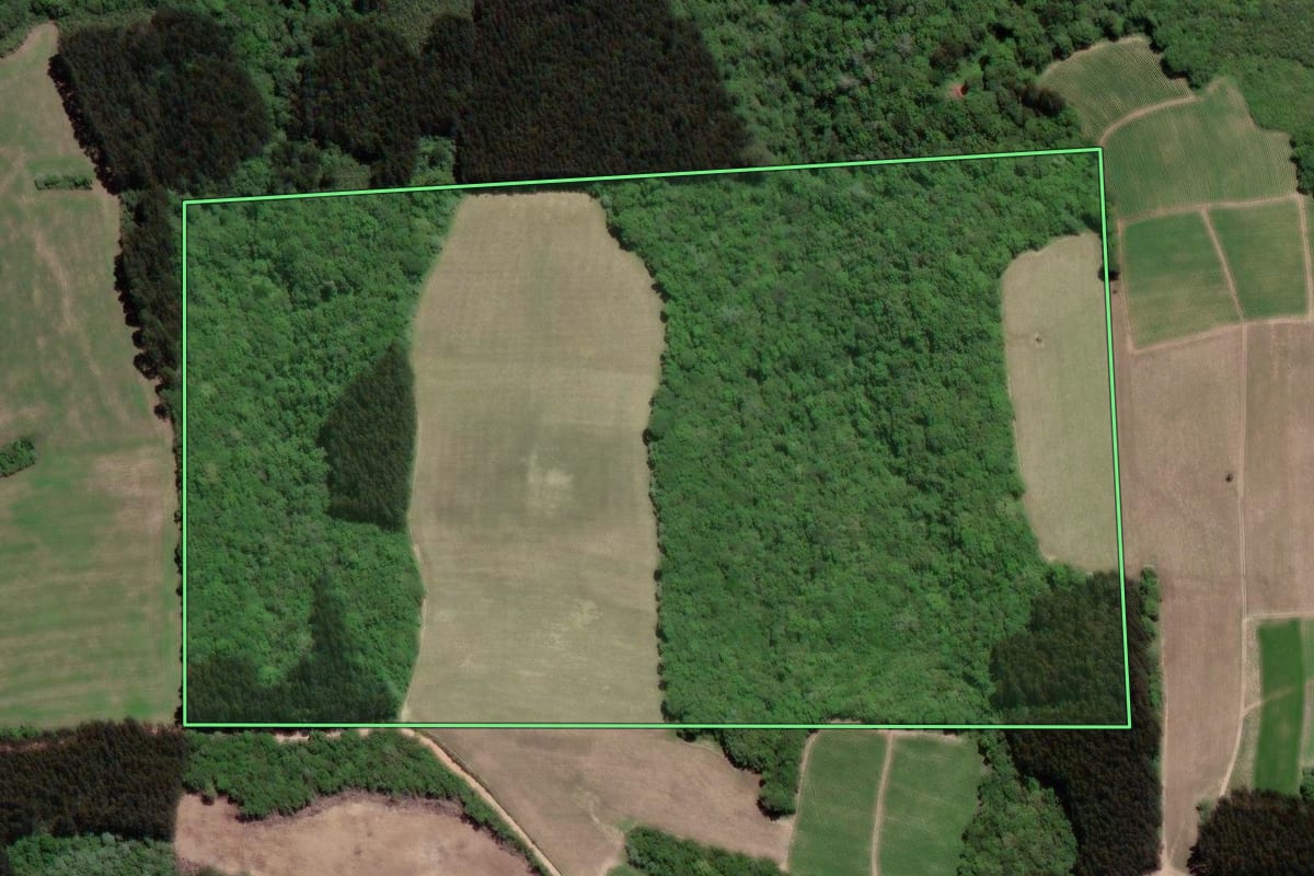 Imagem de satélite do imóvel rural em Itaiópolis (SC), com o contorno declarado no CAR desenhado por cima.