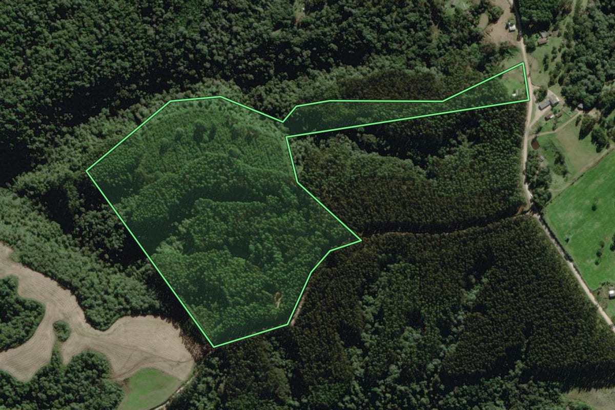 Imagem de satélite do imóvel rural em Itaiópolis (SC), com o contorno declarado no CAR desenhado por cima.