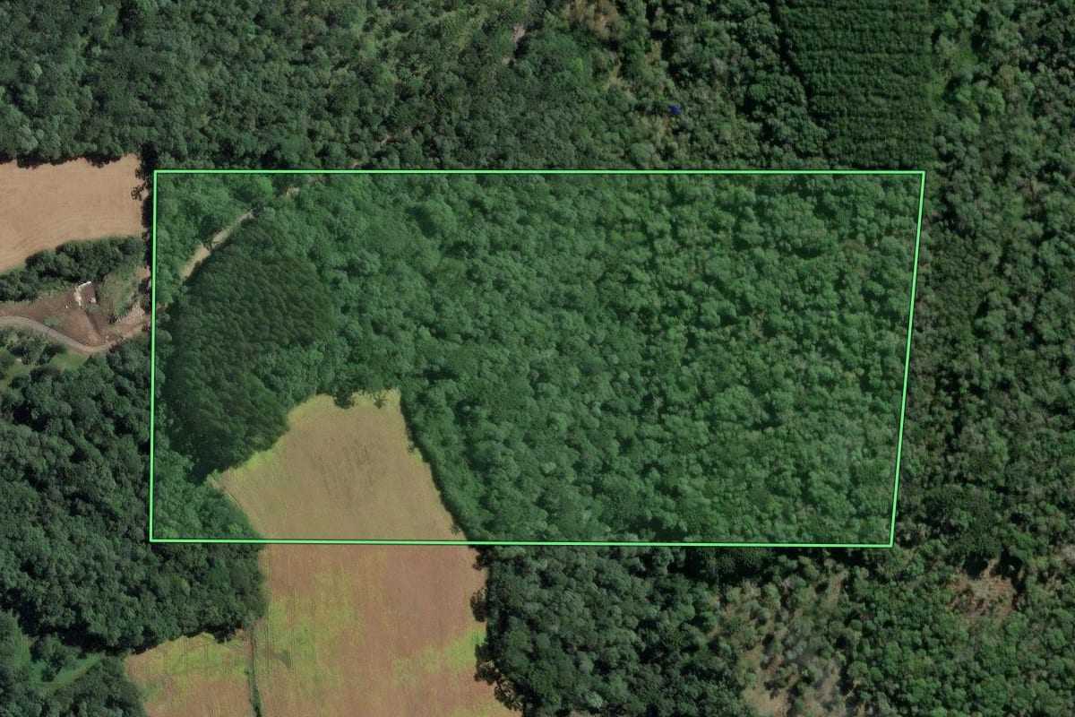 Imagem de satélite do imóvel rural em Itaiópolis (SC), com o contorno declarado no CAR desenhado por cima.