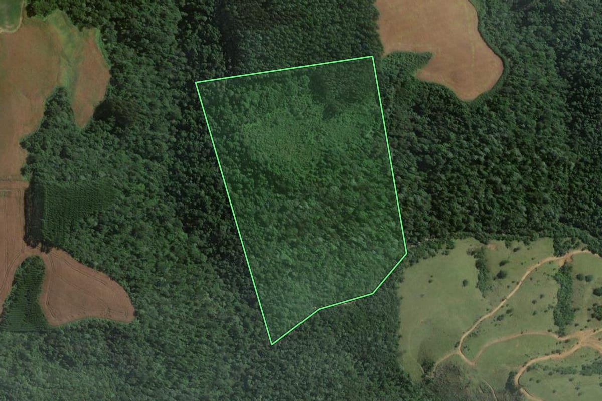 Imagem de satélite do imóvel rural em Itaiópolis (SC), com o contorno declarado no CAR desenhado por cima.