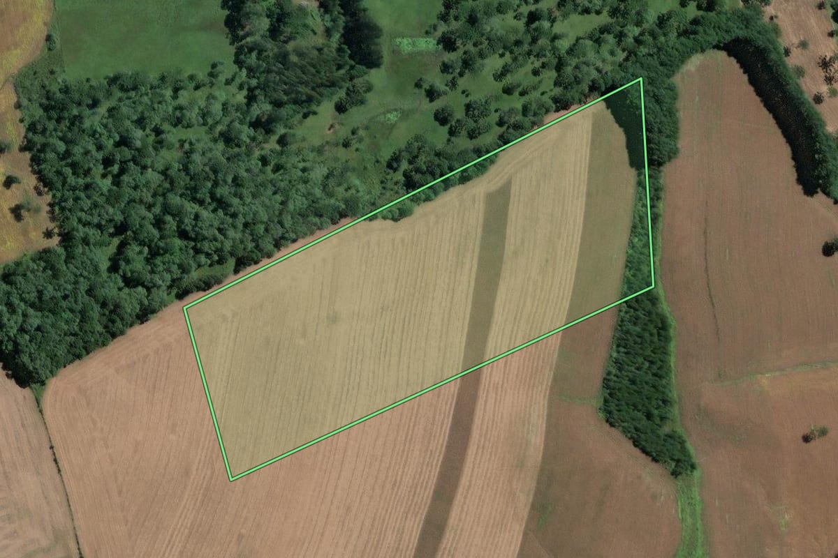 Imagem de satélite do imóvel rural em Itaiópolis (SC), com o contorno declarado no CAR desenhado por cima.